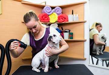 Who Benefits Most From Pet Therapy