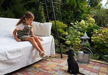 What Plants Are Safe For A Cat-Friendly Garden