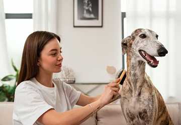 What Are The Benefits Of Microchipping Your Pet