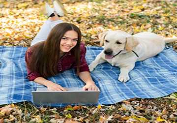 Where To Buy Organic Pet Food Online