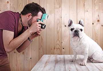 Top 5 Tips for Capturing Amazing Pet Photos