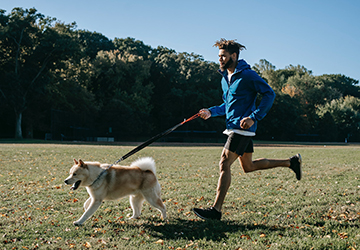 Top 7 Tips for Feeding Your Pet a Balanced Diet