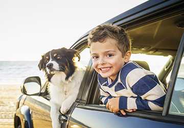 Top 8 Tips for Traveling with Small Pets