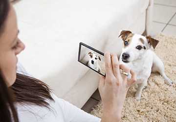 Top 5 Tips for Capturing Amazing Pet Photos