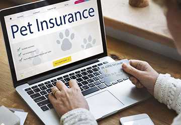 Top 5 Tips for Choosing the Right Pet Insurance