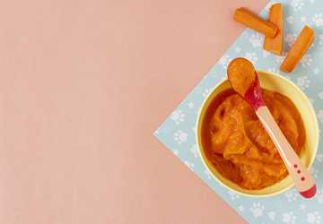 Top 10 Baby-Led Solid Foods for Your Infant