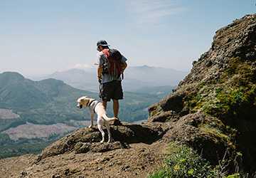 Where to Take Your Dog for Hiking Adventures