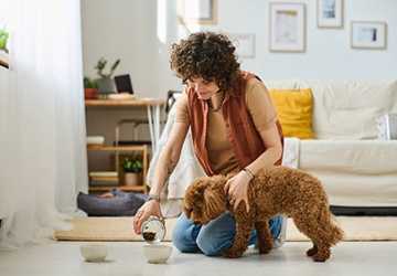 Who Are the Best Pet Sitters in New York