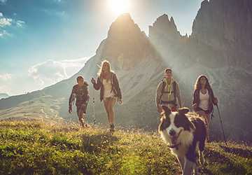 Where to Take Your Dog for Hiking Adventures