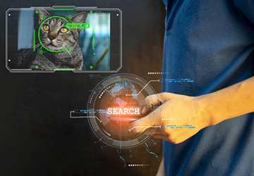 What to Do if Your Pet Gets Lost- Immediate Steps