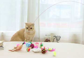 Top 5 Cat Toys for Indoor Exercise