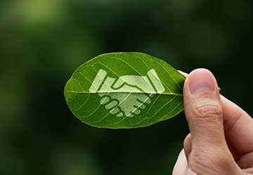 How to Make Your Home More Energy Efficient