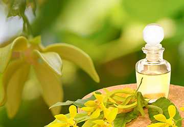 Top 5 Essential Oils for a Relaxed Mind