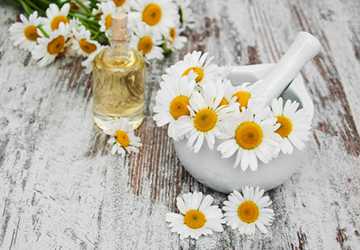 Top 5 Essential Oils for a Relaxed Mind