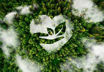 Living Car-Free: Pros and Cons